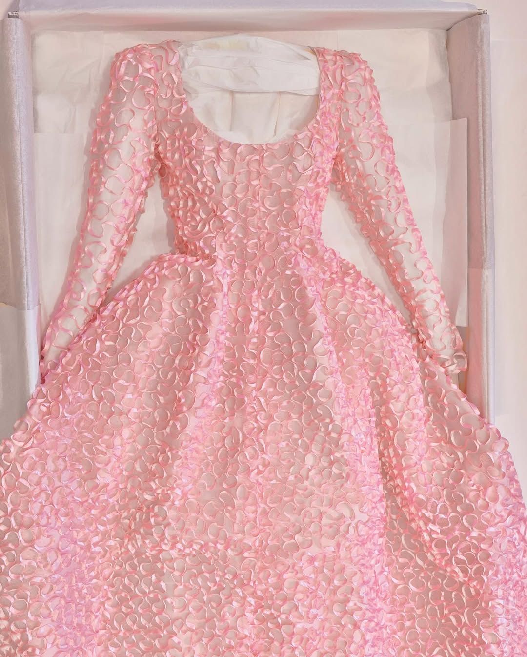 Pictures may contain clothing, dresses, fashion formal dresses, wedding dresses, evening dresses and blouses