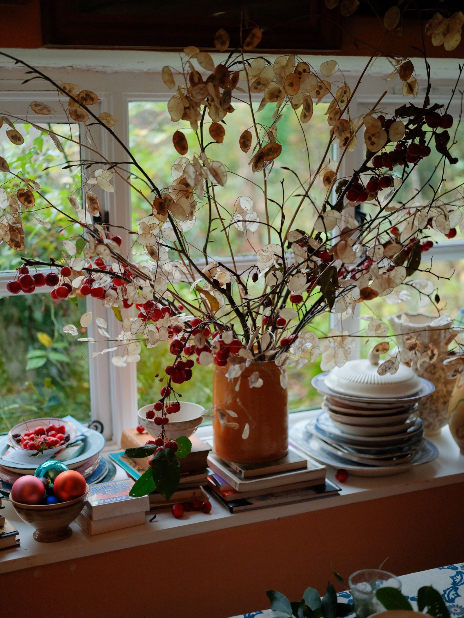 Image may contain windows, windowsills and plants