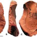 Four views of the ocher fragment ZSKVI-01 showing various modifications. (A) The outer friable surface exhibits extensive nicks, pits, and short randomly oriented striations over smooth areas. (B) Right edge showing severely worn microchips. (C) The concave, harder inner surface is shown on its right edge. (D) Fresh invasive patchy scar. Scale bar, 1 cm.