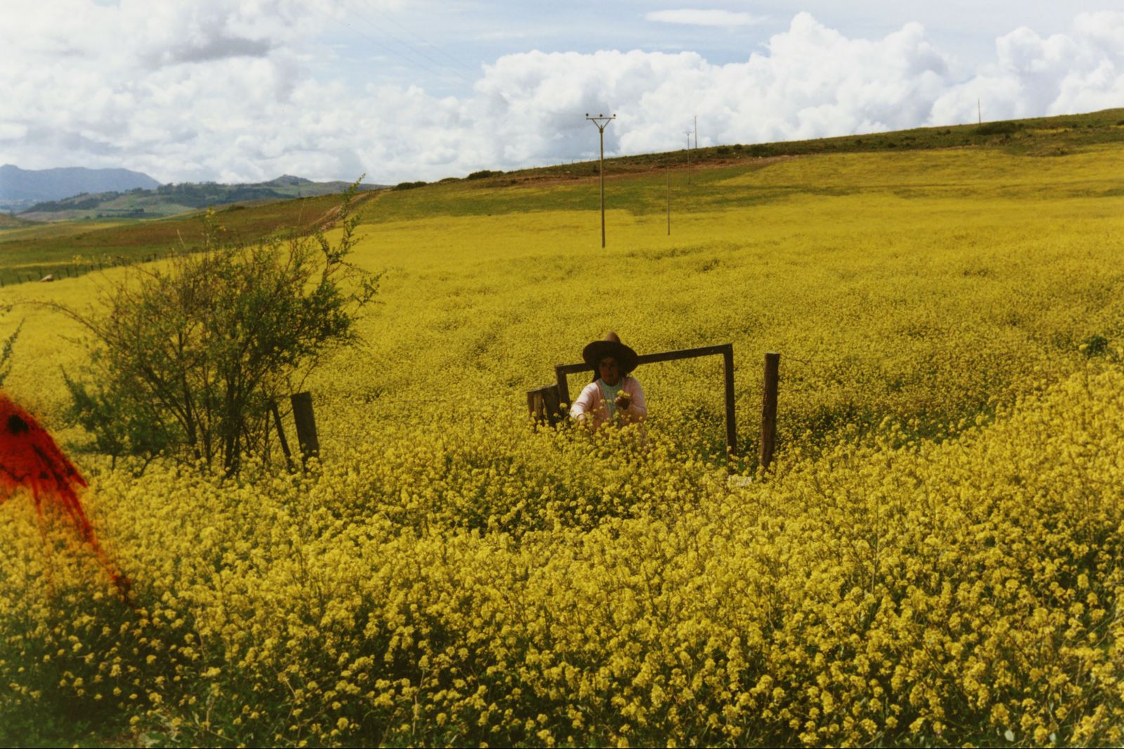 The image may contain fields, meadows, nature, outdoor photography, countryside, meadows, rural faces, heads and people.