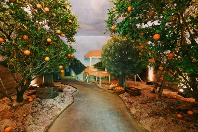 Installation view of Alex Prager’s Mirage Factory, 2025, with Capital One and The Cultivist, at 430 Lincoln Road in Miami Beach.