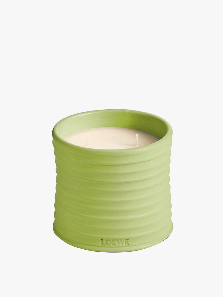 Image may contain: art, porcelain, pottery, drink and milk