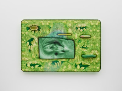 A painting with rounded edges depicting images of distorted grass and wrinkled skin.