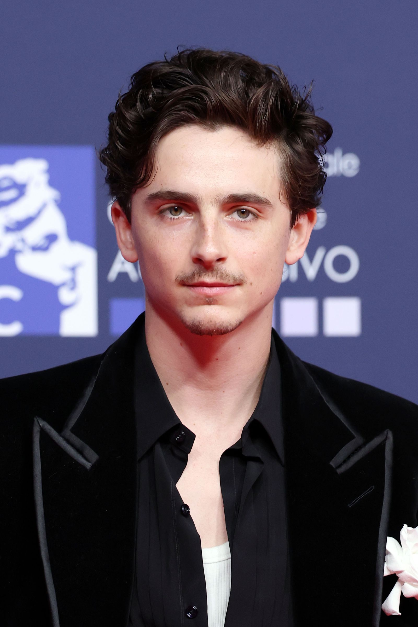 Images may contain Timothe Chalamet body parts, face, head, neck, adult, brunette, hair photography and portraits