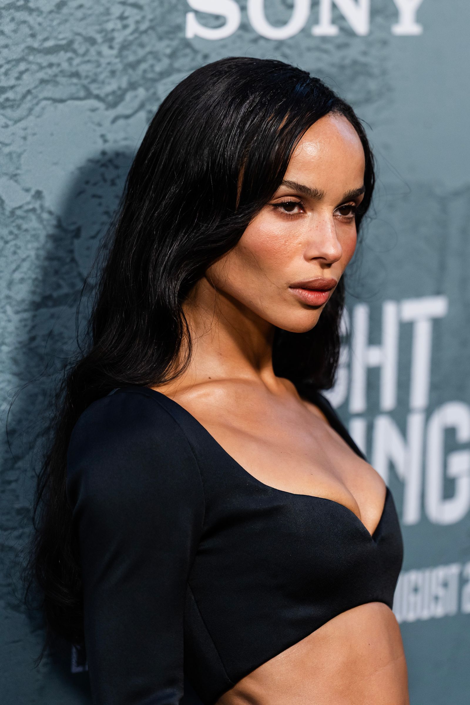 Image may contain Zoë Kravitz Black Hair Hair and Adults