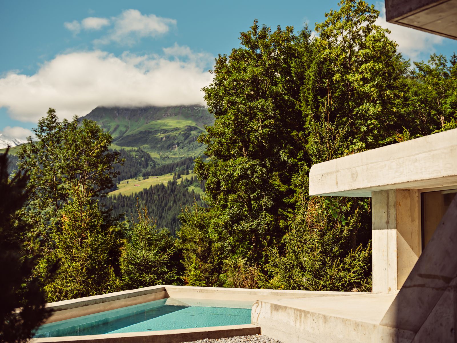 Images may contain plants, vegetation, nature, outdoor scenery, trees, swimming pools, water, land, woodlands and buildings