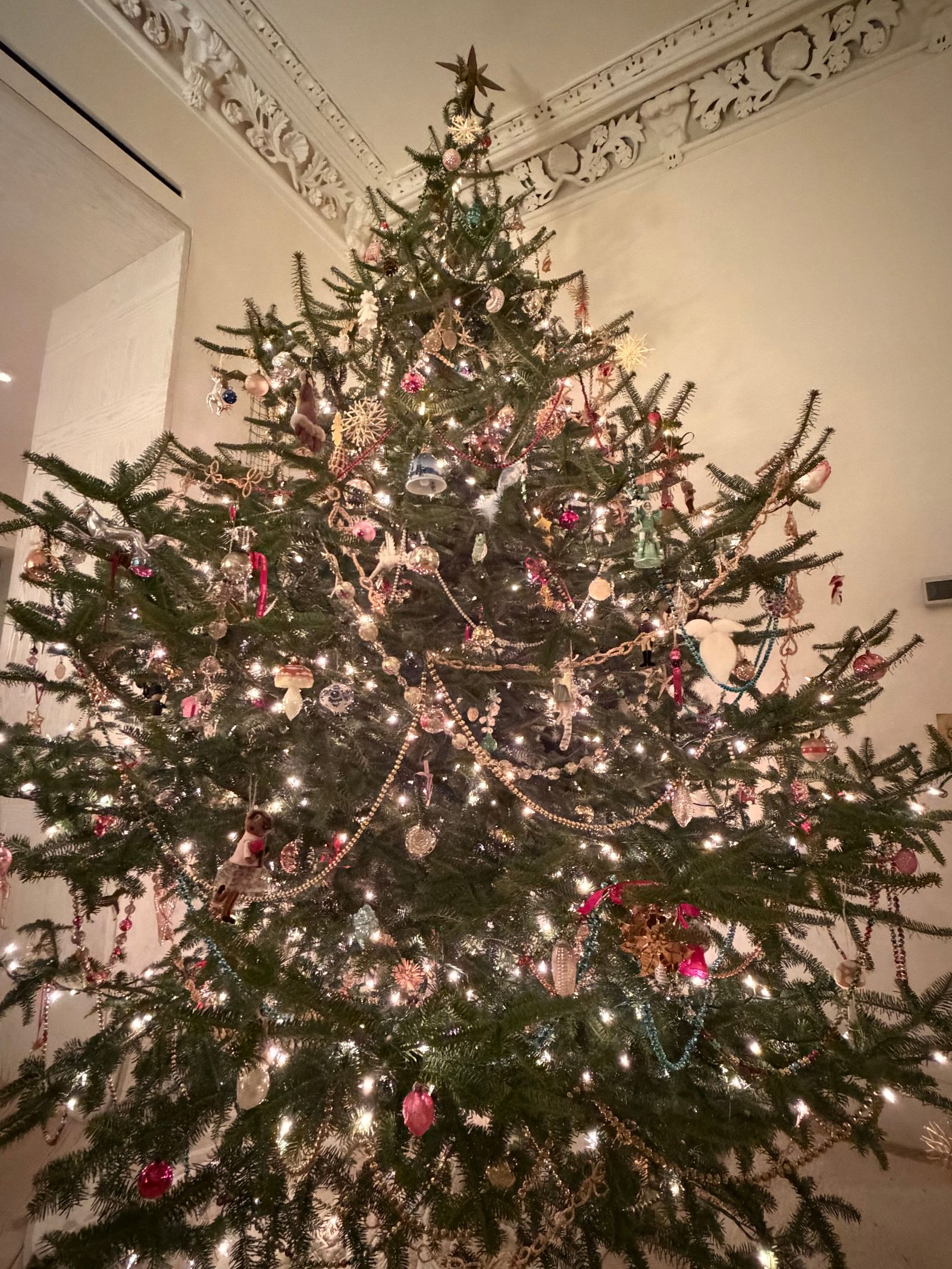 Image may contain Christmas Christmas decorations, festive Christmas tree, Christmas tree decorations and people