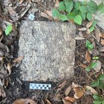 Top view of a stone slab with Latin inscriptions sitting among dirt and leaves