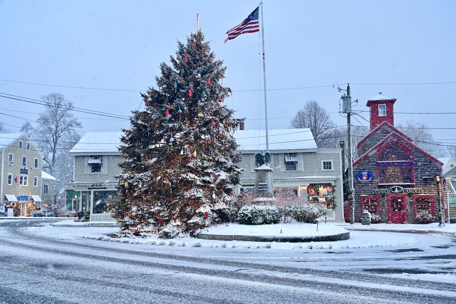 Image may contain plant tree, flag, christmas, christmas decorations, festive christmas tree and people