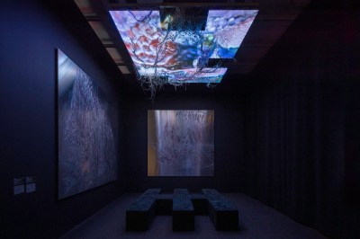The dark room is illuminated by a video installation on the ceiling, whose abstract images recall water and organs. A mesh-like shape hangs from the screen. Silver abstract paintings hang on the walls.