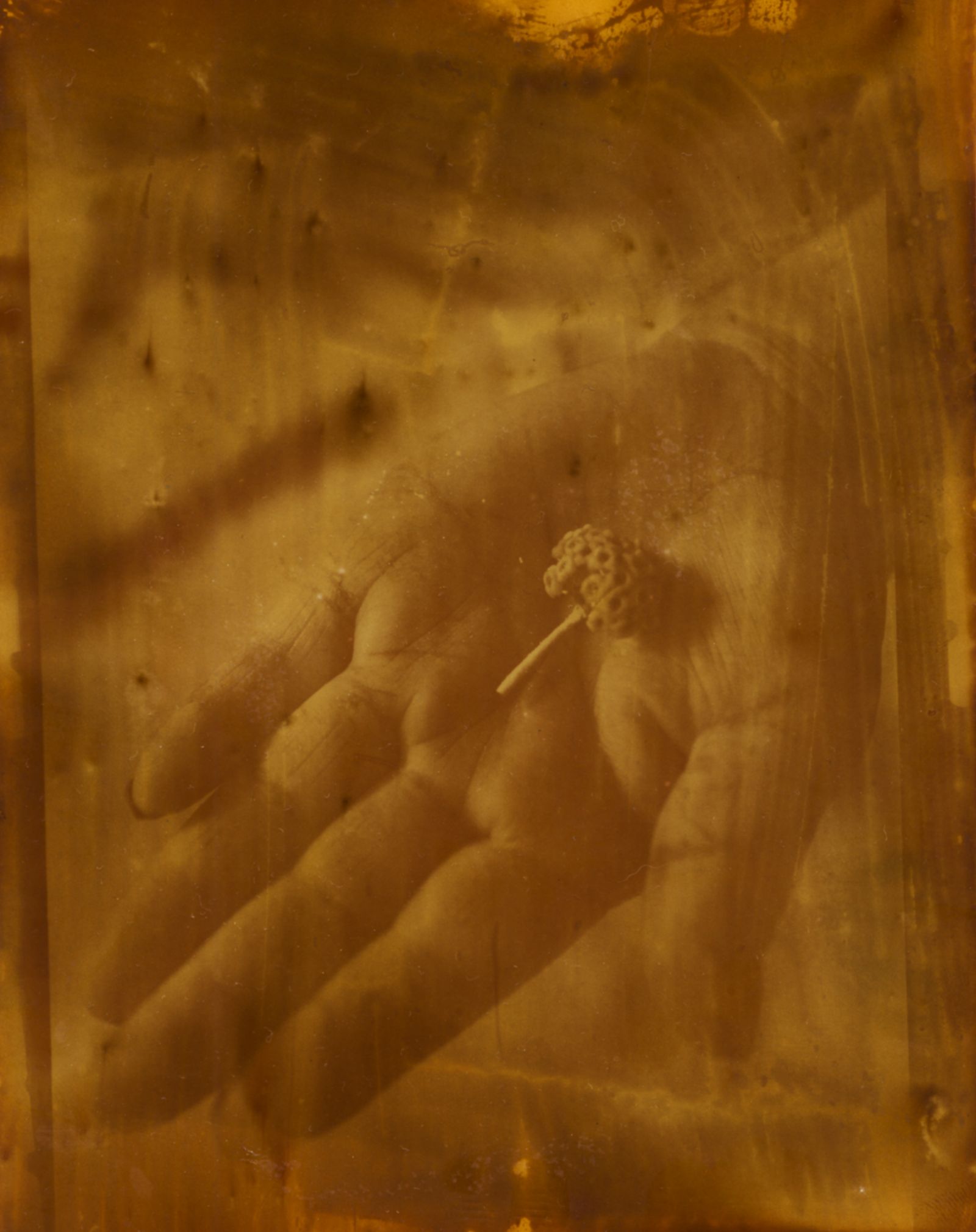 Alquimia Textile Company