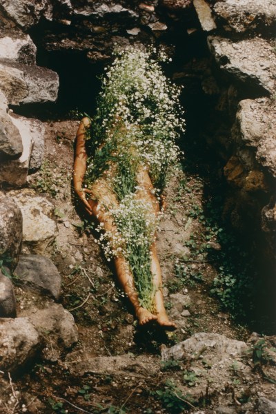 A photograph of a woman's nude body sprouting a plant.