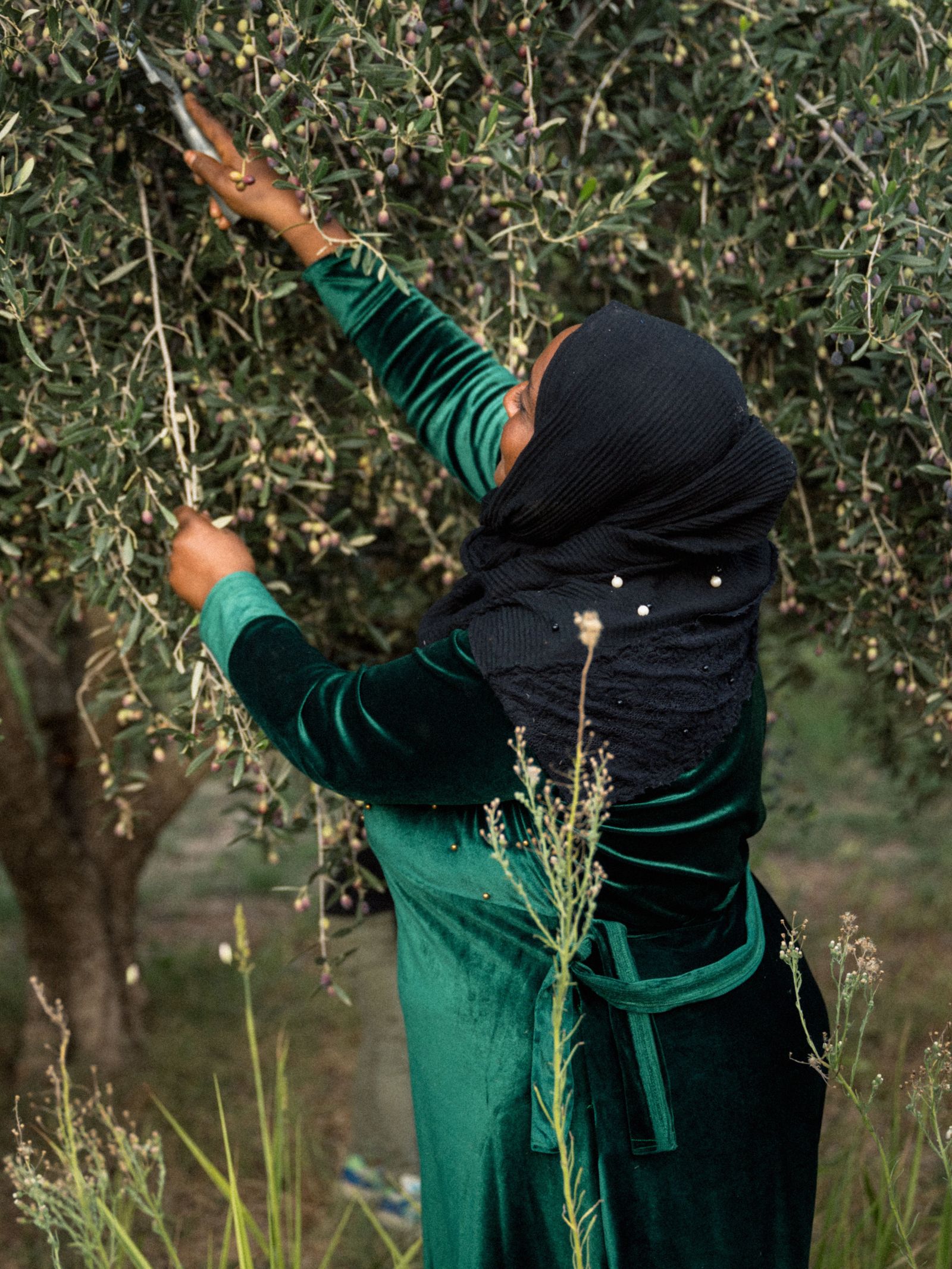 Image may contain face and head of adult outdoors nature plant vegetation garden field