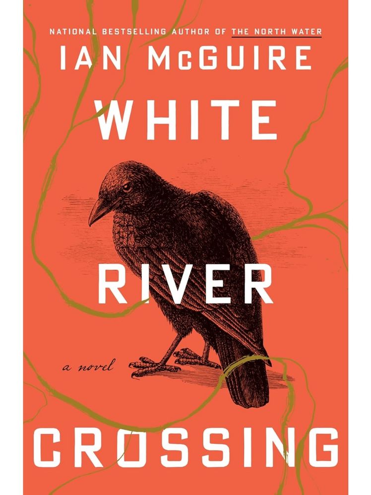 Image may contain: books, publications, novels, animals and birds