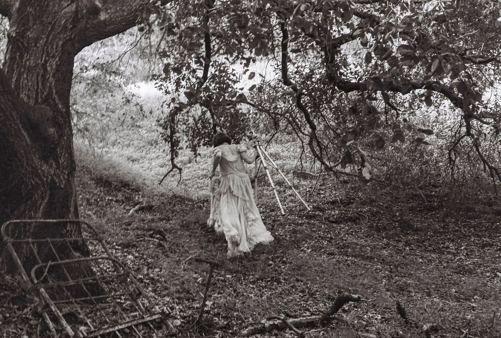 Image may contain plants, trees, vegetation, land, nature, outdoors, woodland photography, faces, people and portraits