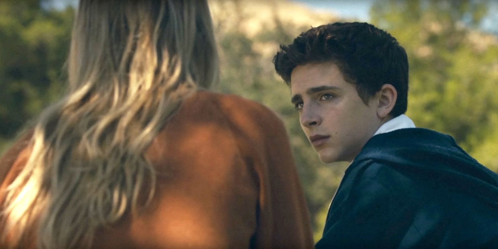 Timothée Chalamet's best film and TV appearances yet
