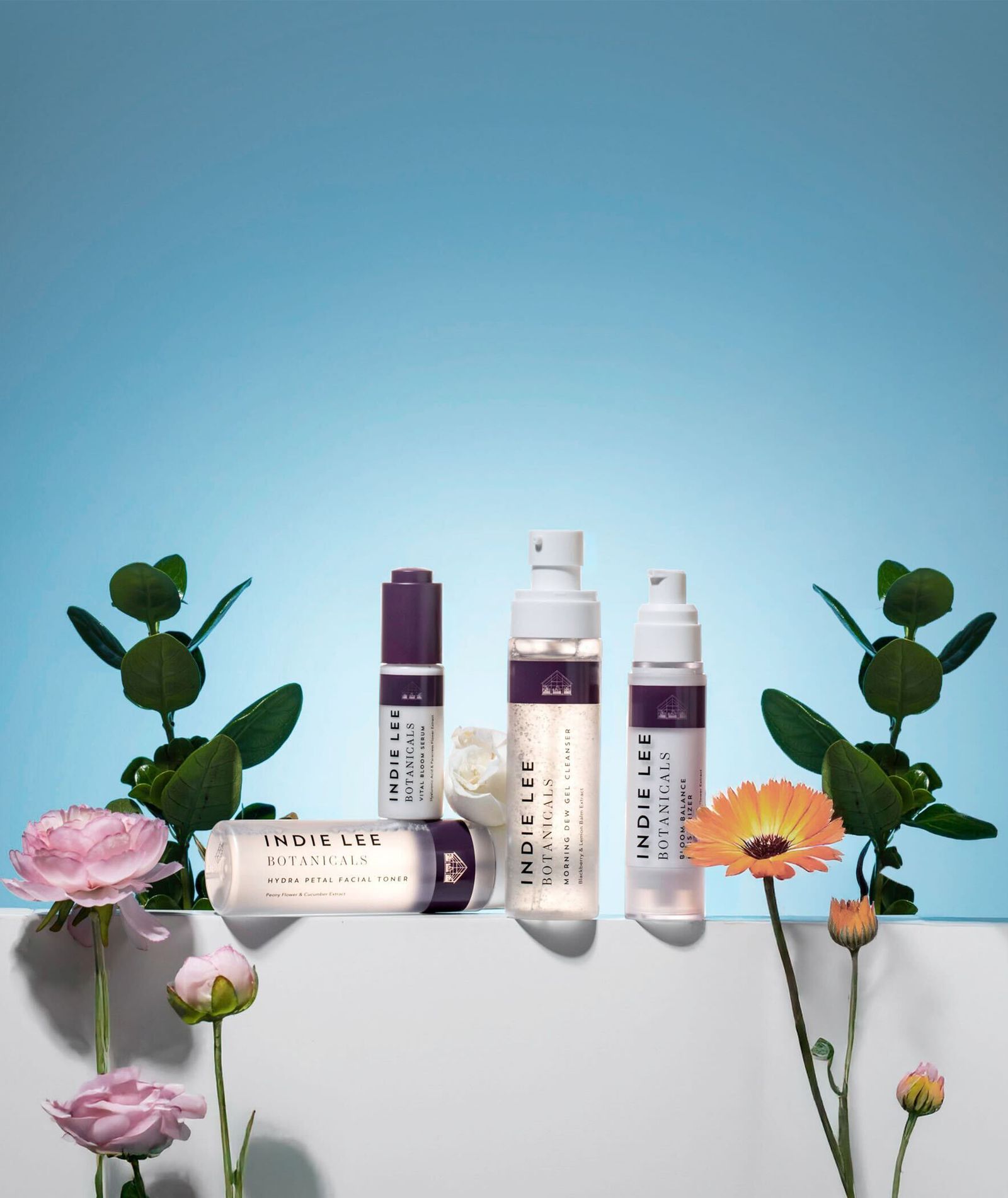 Pictures may contain flowers and roses