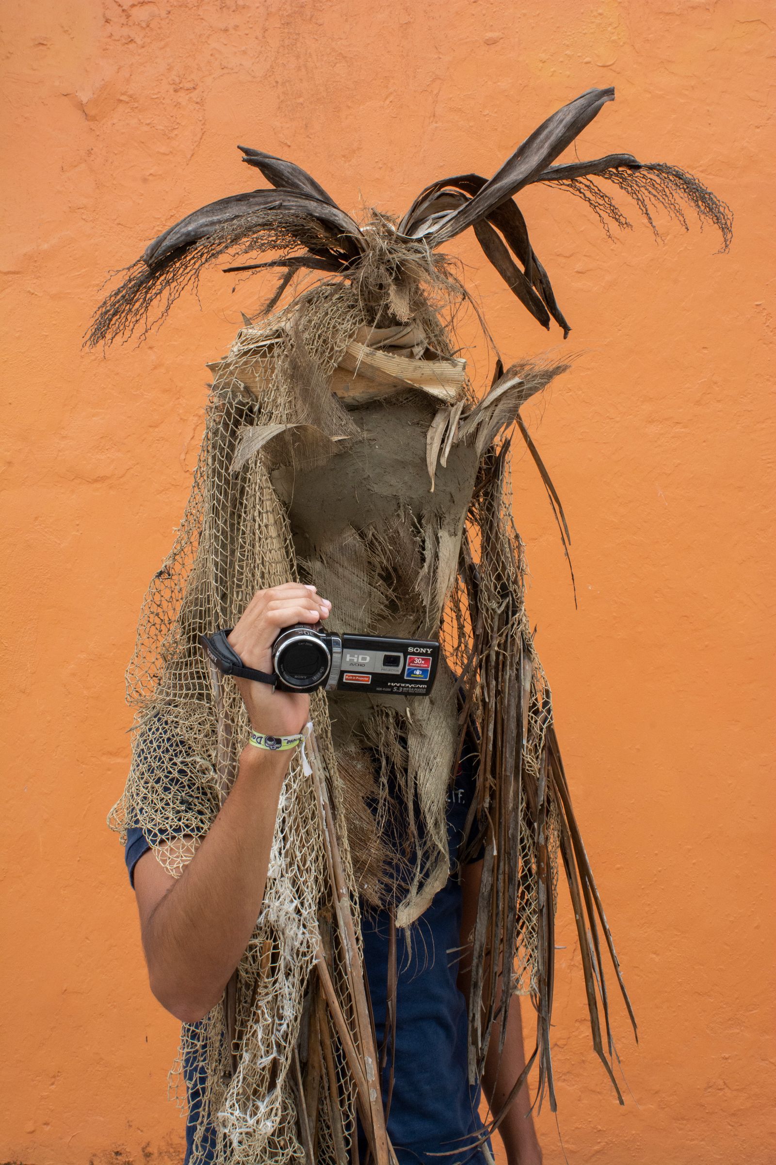 Images may contain photography and people