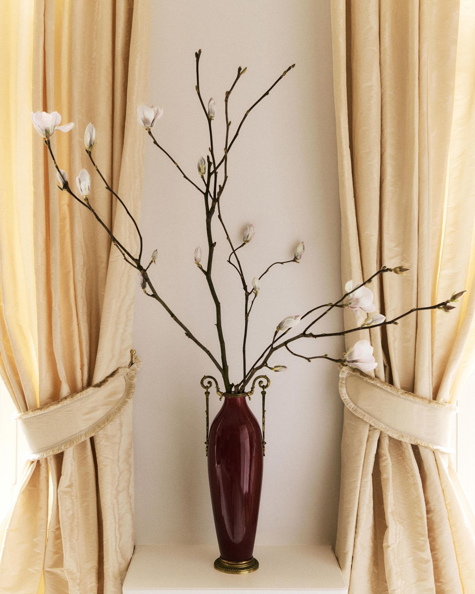 Pictures may contain flowers, flower arrangements, pots and potted plants