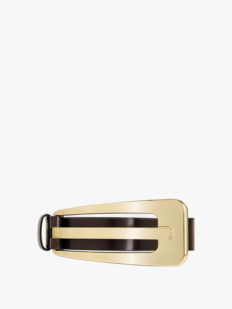 Image may contain: accessories, buckle, belt and mailbox