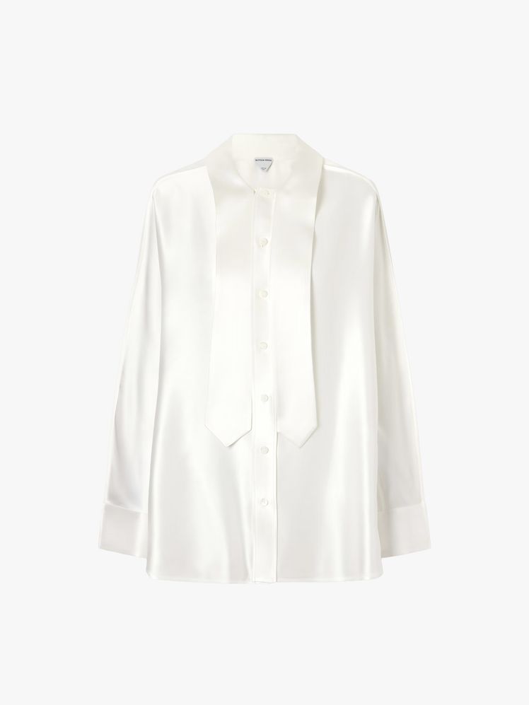 Image may contain: shirt, long sleeves, sleeves and dress shirt