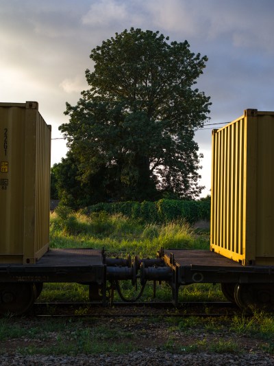 Two train cars are connected together, and a tree sprouts between the cars in the distance.