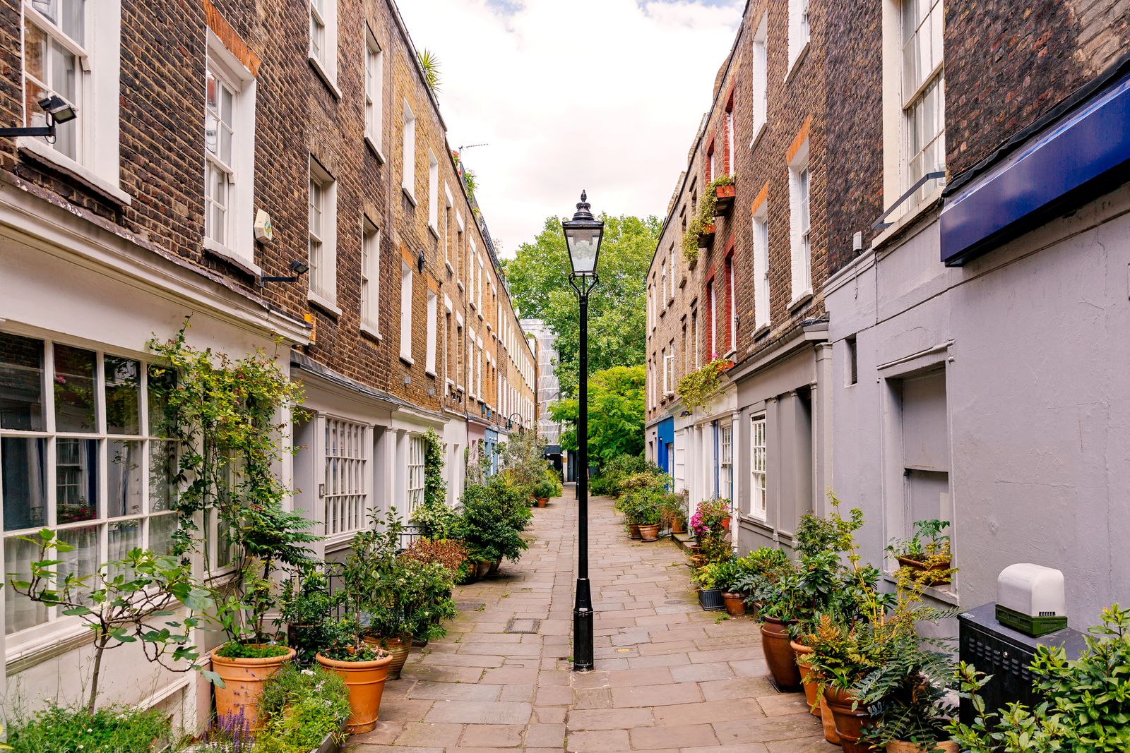 The image may contain city roads, streets, urban buildings, buildings, houses, row houses and plants.