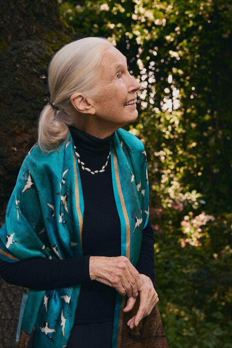 Dr. Jane Goodall, glorious earth, jewelry, chimpanzees
