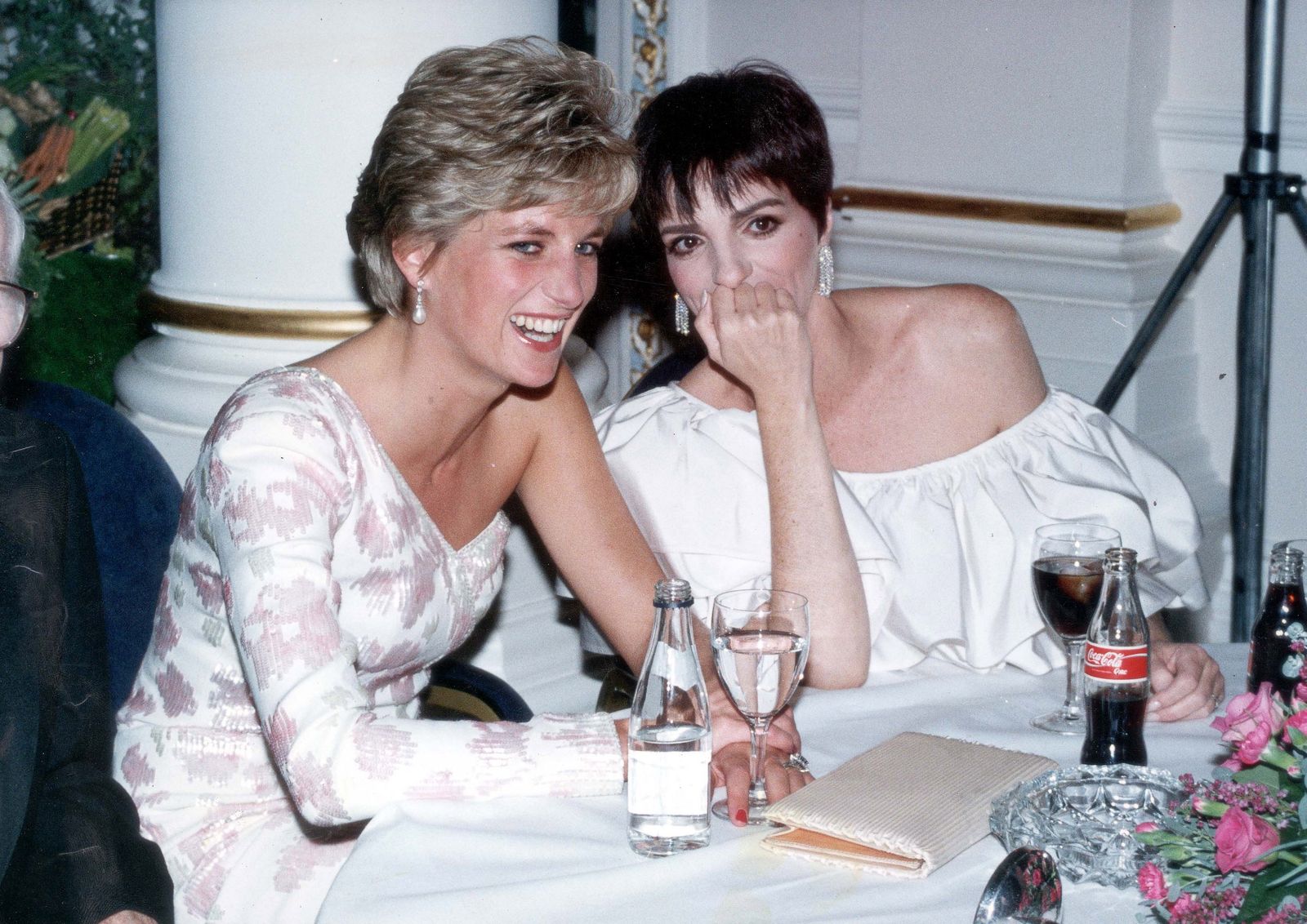 Image may contain Diana, Princess of Wales, Liza Minnelli face profile photo portrait clothing and dress. London...