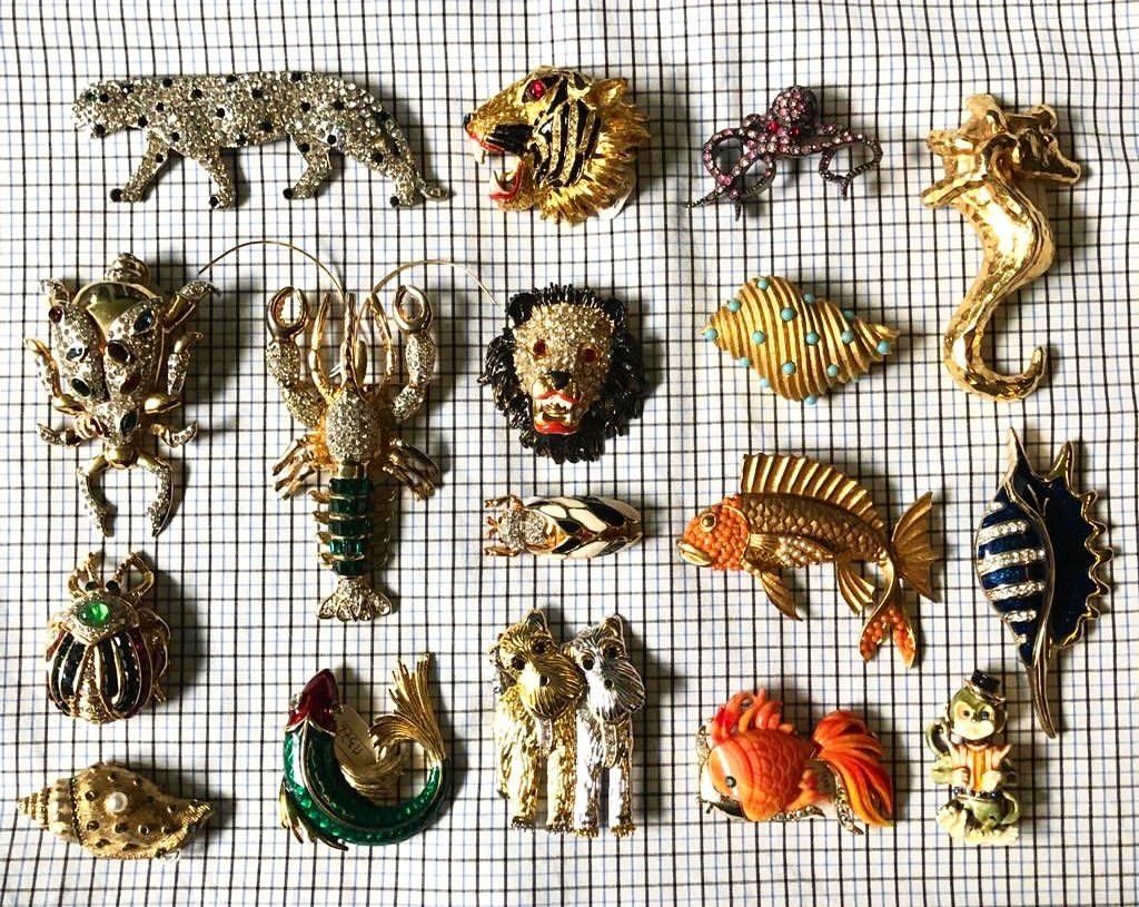 Images may contain accessories, jewelry, animals, birds, chickens, poultry, arts, crafts, fish, sea creatures and brooches
