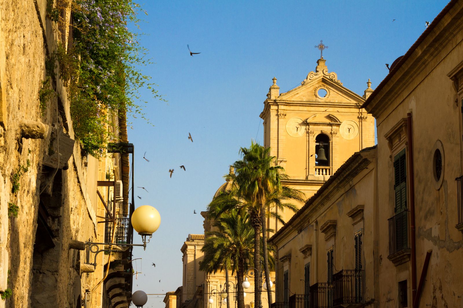 Image may contain architecture bell tower architecture tower bell tower cathedral church city animals and birds