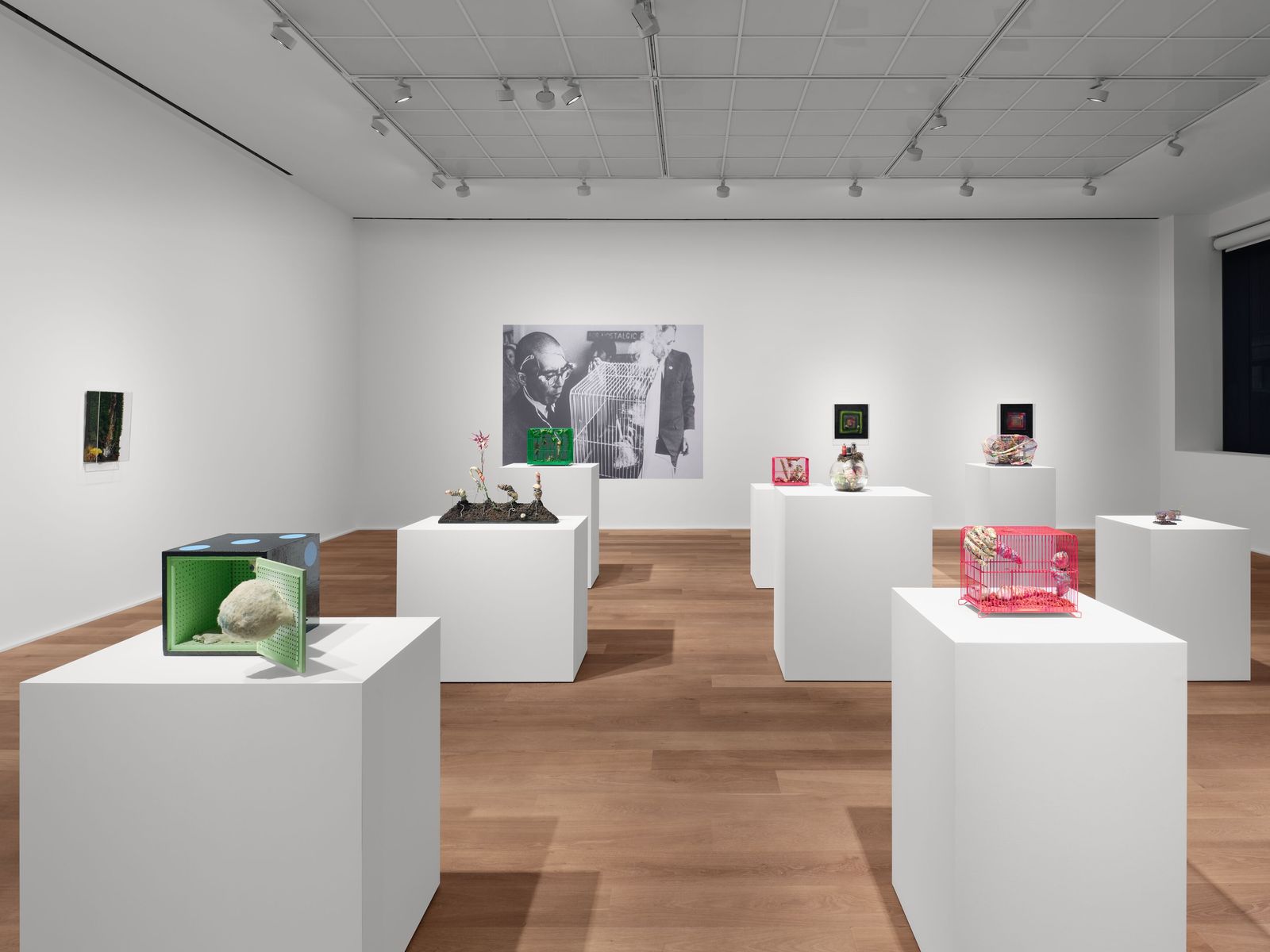 The image may contain flooring, floors, interiors, people, art, interior design, art galleries, architecture, buildings and museums