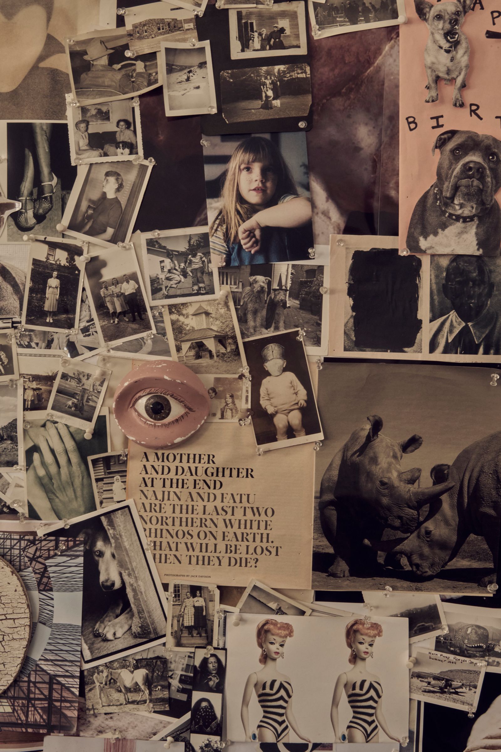 Image may contain Gil Elvgren Gil Elvgren art collage, face, head, people photography, portraits, children, babies and animals