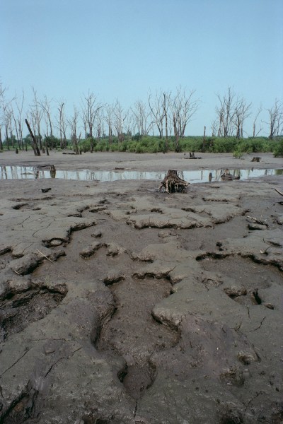 Ana Mendieta, Untitled: Silueta Series, 1979