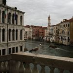 A seagull stands on the 16th-century Rialto Bridge on the Grand Canal in Venice, Italy, Monday, April 13, 2026. (Photo: Danil Shamkin/NurPhoto via Getty Images)