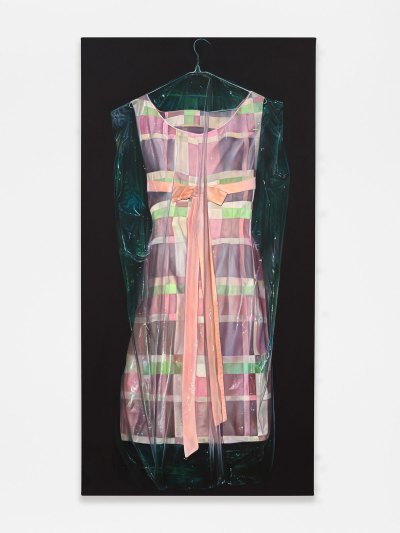 A hyper-realistic painting of a fashionable 1960s dress in a dry-cleaning plastic bag. 