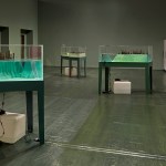 In a green room with a plastic covered floor, there are three tabletop exhibits showing islands suspended in water with melting ice.