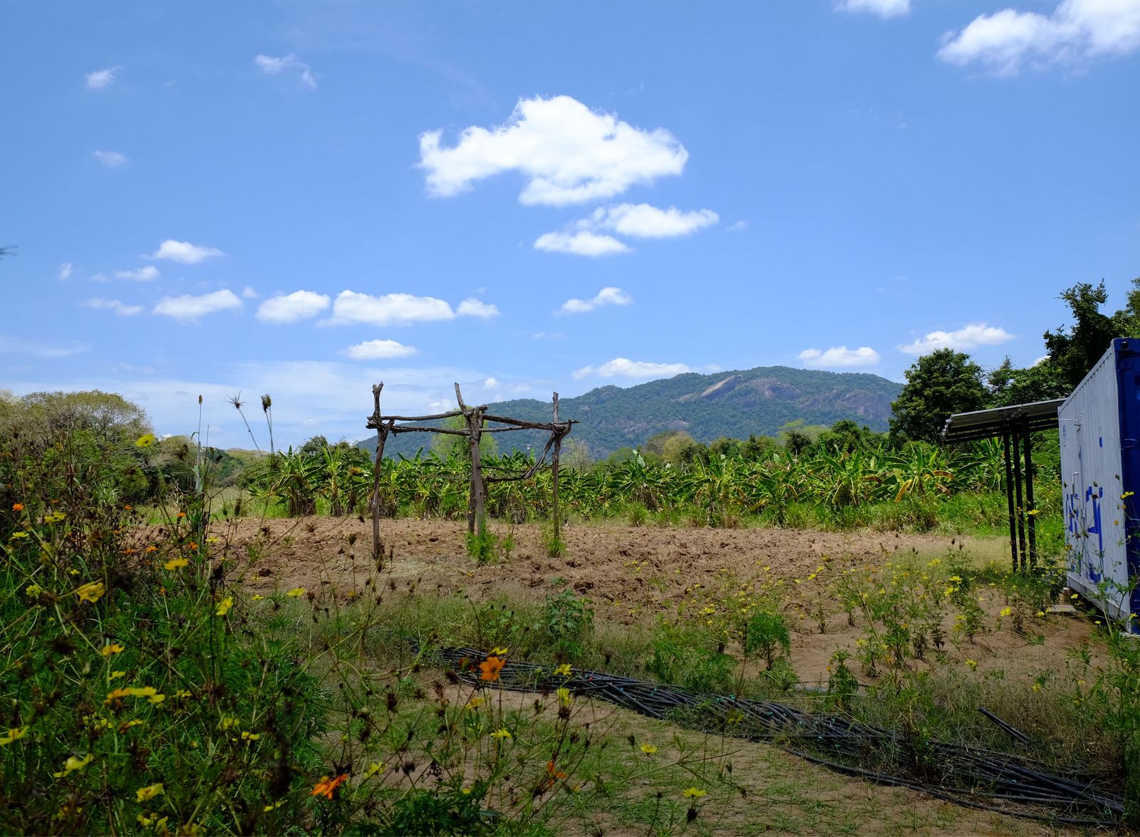 The image may contain outdoor natural soil plants vegetation rural farmland pasture rural sky clouds and land