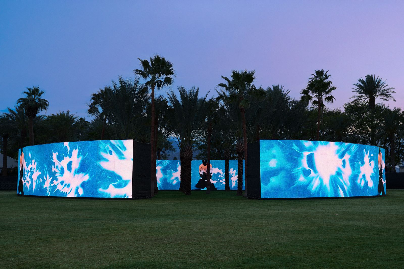 Image may contain grass plants, lawn trees, houseplants, vegetation, palm groves, land, nature, outdoor and woodland