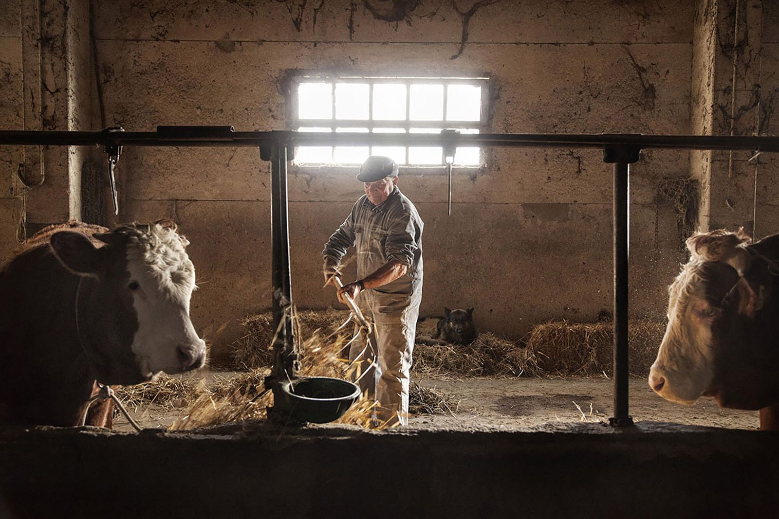 Image may contain Emilio el Moro Countryside Nature Outdoors Straw Adults and Workers