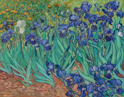 Vincent van Gogh, Irises, 1889