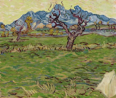 Vincent van Gogh, Fields near Les Alpilles, 1889
