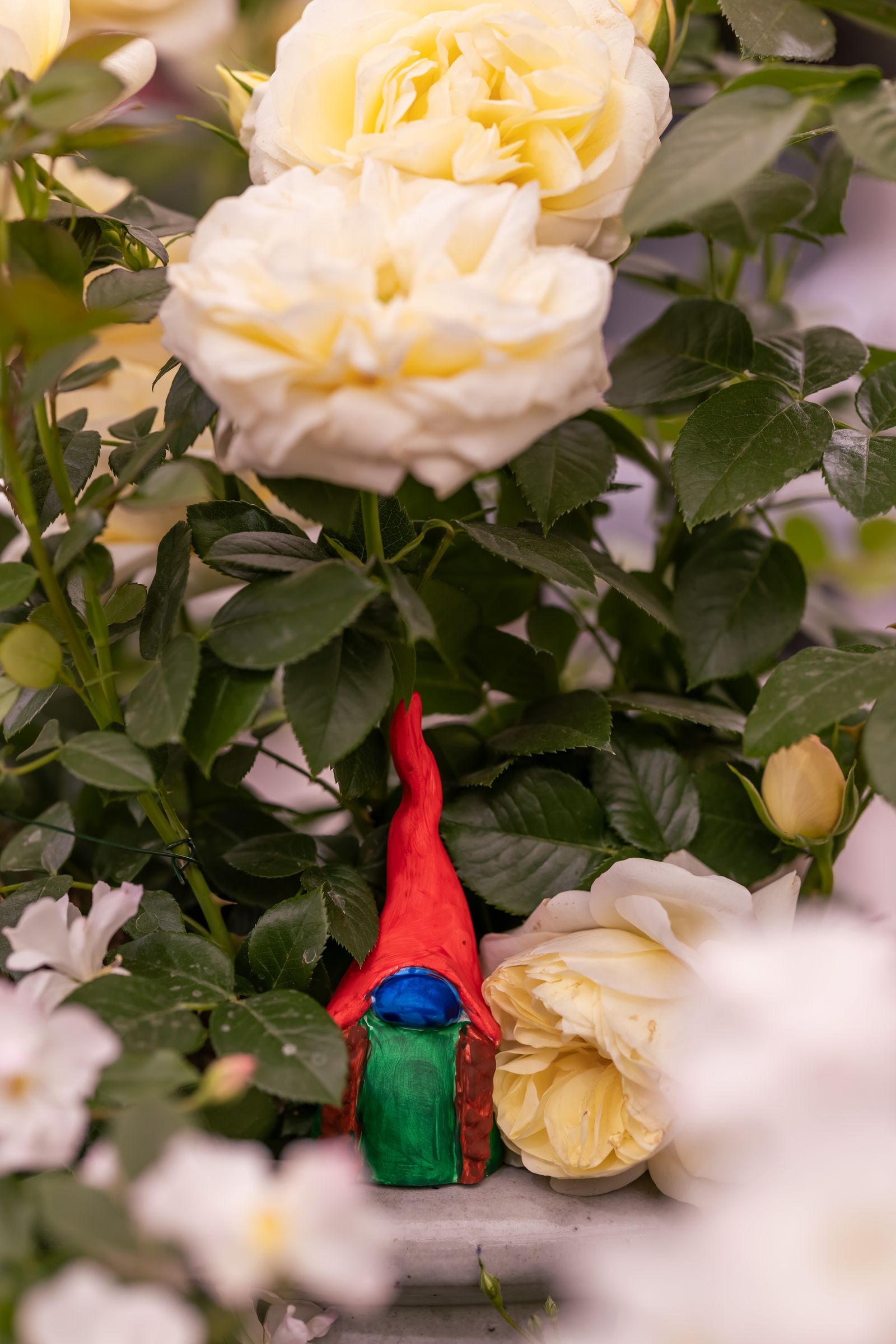 Image may contain flowers, plants, rose petals, flower arrangements, leaves, animal beaks and birds
