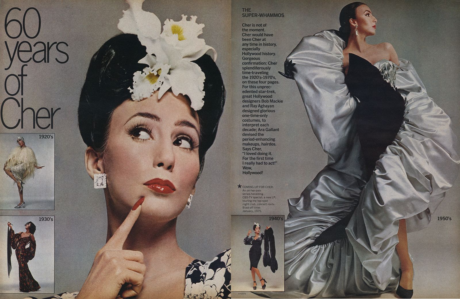 Images may contain Cher's face, avatars, people photography, portraits, adult clothing, gowns, weddings and advertising