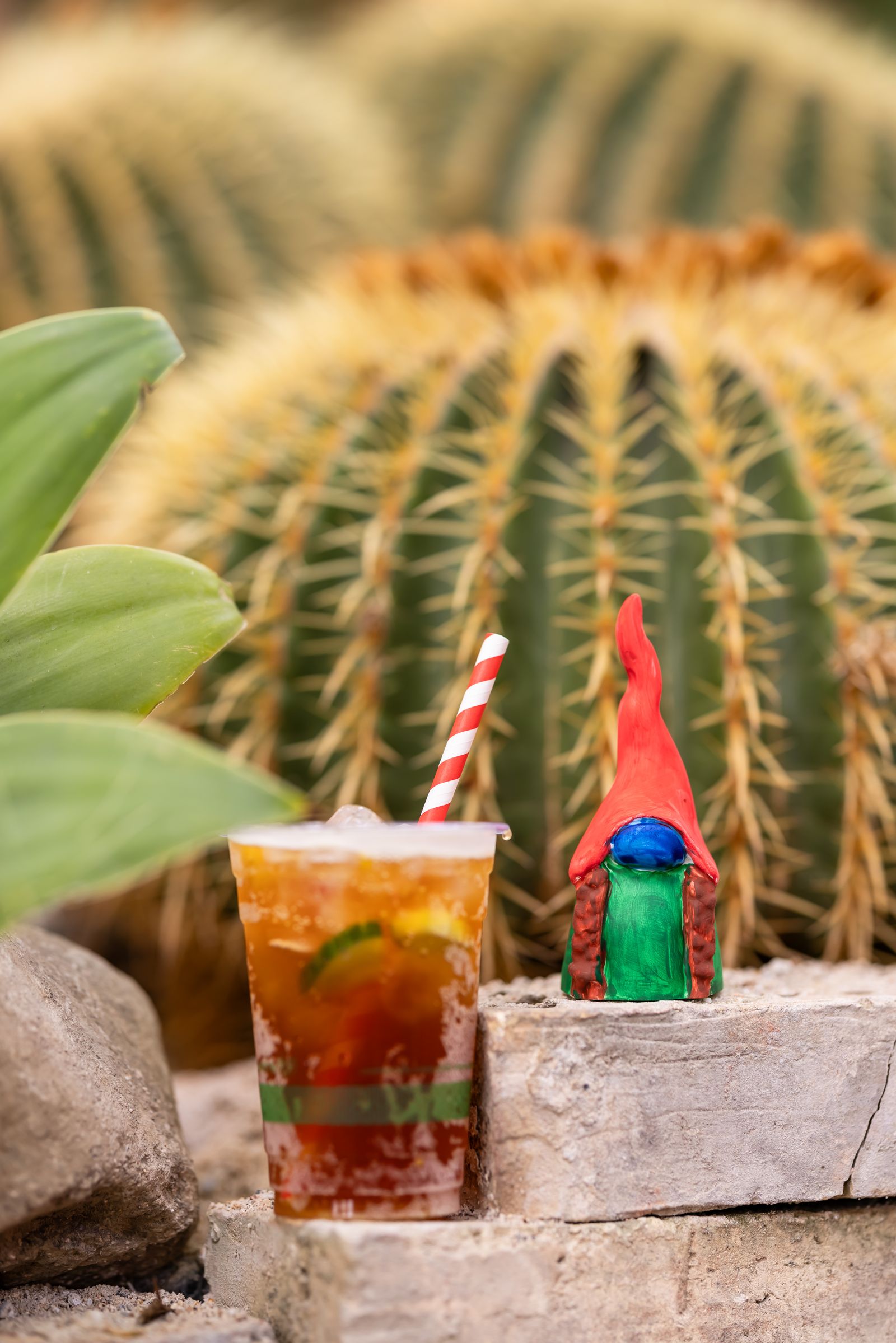 Image may contain drinks, soda, animals, birds, herbs and plants