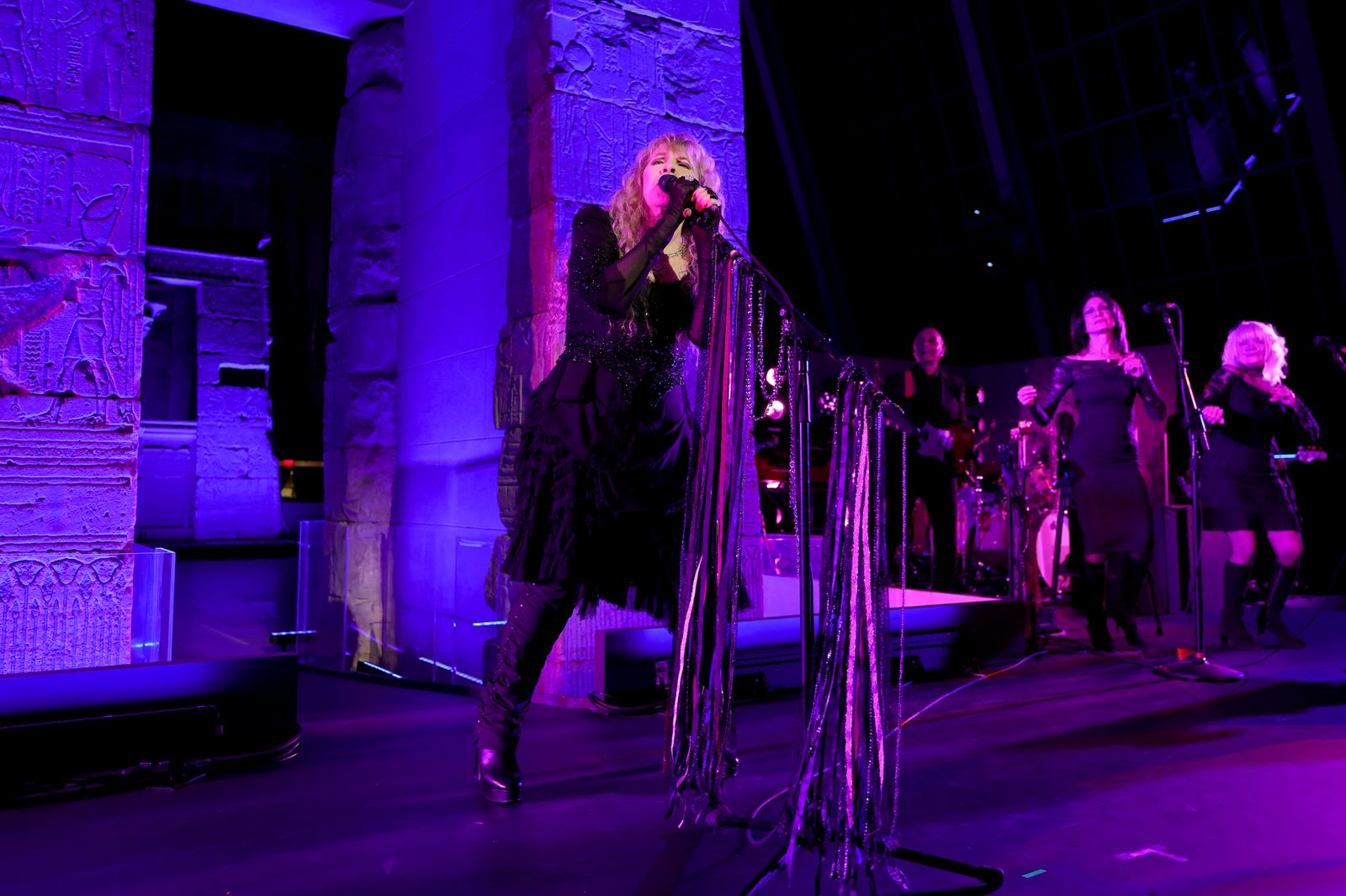 Image may contain Stevie Nicks performers solo performances, adult leisure activities and music