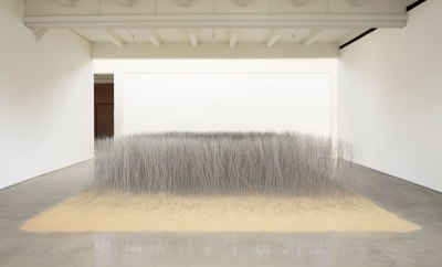 An installation consisting of strands of iron, resembling grains of wheat, in a field of sand.