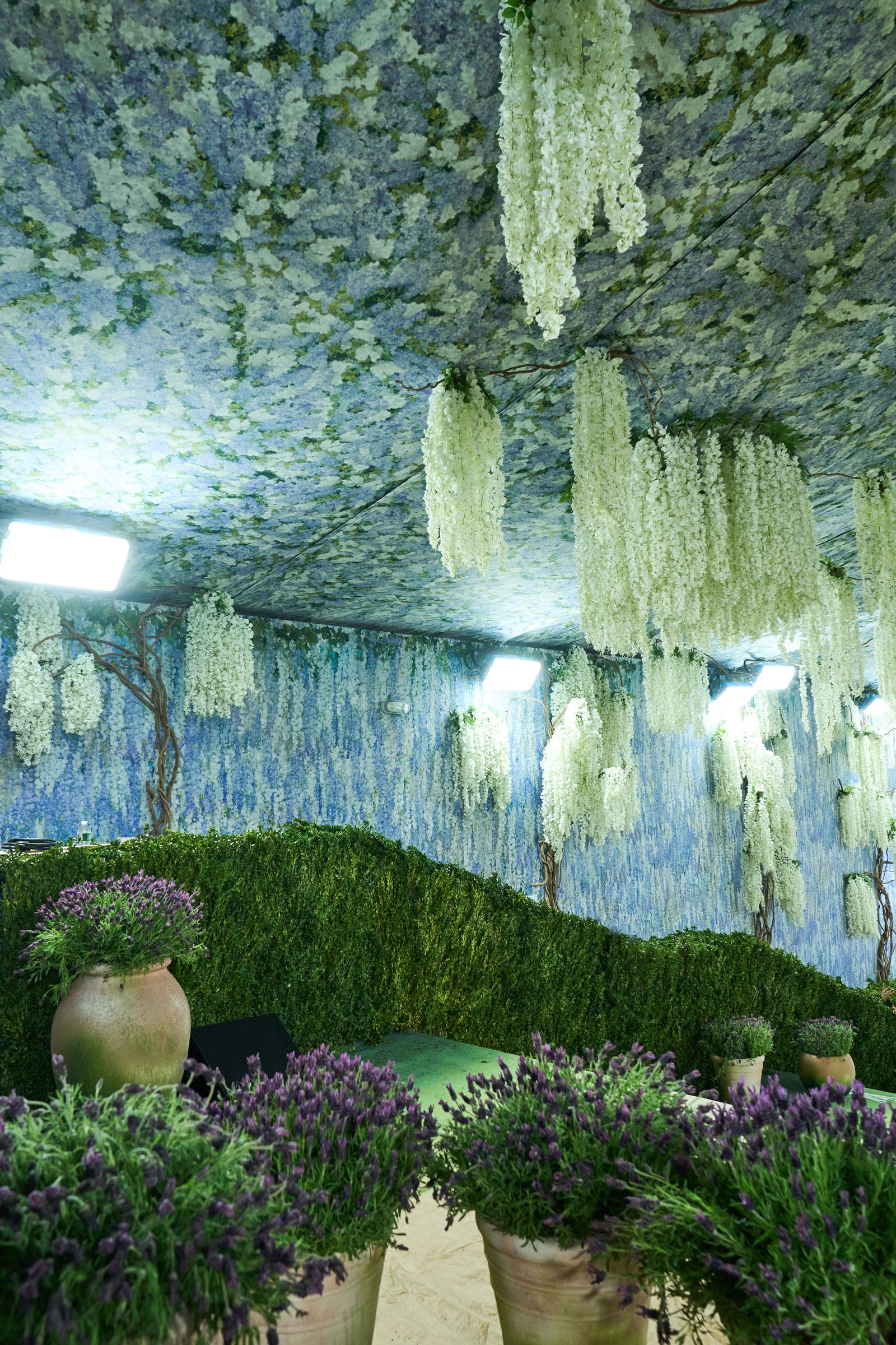 Pictures may include garden, nature, outdoor, moss, vegetation, pots, pots, flowers, art and paintings