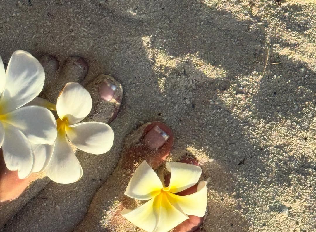 Image may contain petals, plants, rocks, soil and outdoor