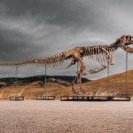 A very large Tyrannosaurus rex skeleton with some grassy mountains and an ominous sky in the background.